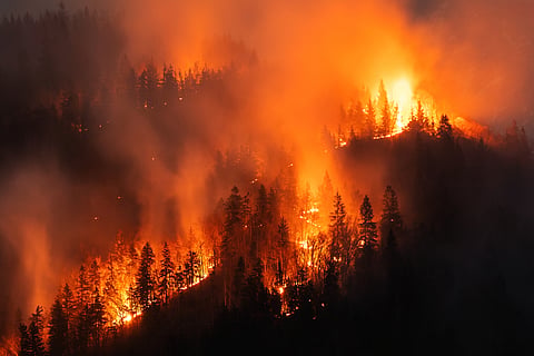 How satellites and AI help fight wildfires today