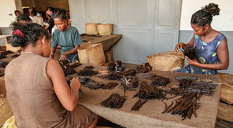 Rich countries driving biodiversity loss in other nations through agricultural, forestry imports