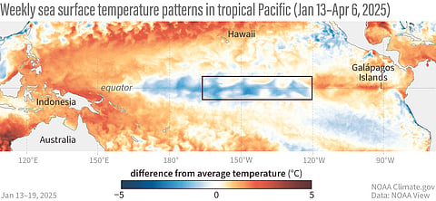 This animation shows weekly sea surface temperatures in the Pacific Ocean from late January to early April 2025, compared to the average. Warmer-than-usual areas appear in orange and red, while cooler areas are shown in blue. The cooler waters linked to La Niña in the key ENSO-monitoring region (marked by a black box) have faded in recent weeks.