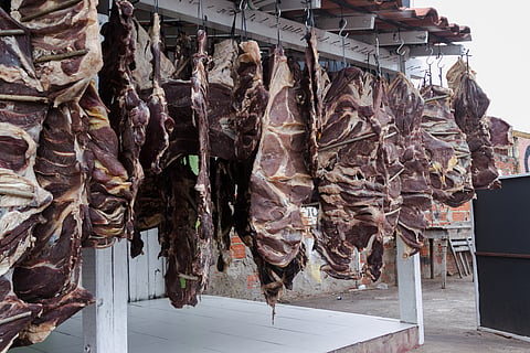Wild meat is eaten by millions, but puts billions at risk — how to manage the trade