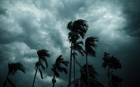 Daily weather tracker: Rainfall in East & Central India; Northwest shows mixed picture