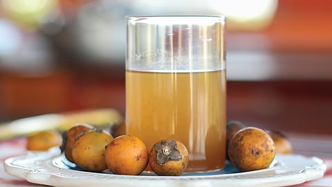 Tendu fruit has astringent or cooling properties. Consuming the fresh fruits or its juice is considered beneficial during hot summer months