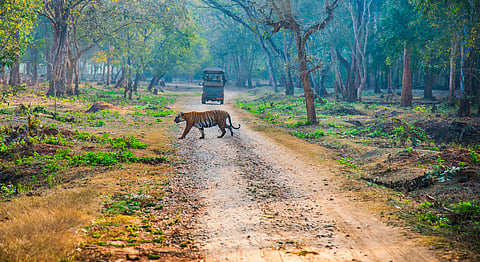 Nagarahole: Jenu Kuruba Adivasis to hold Gram Sabha on May 20
