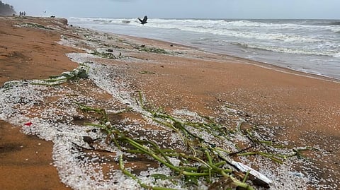MSC ELSA 3 sinking: Tiny plastic pellets found along Thiruvananthapuram coast, raising concerns about marine pollution