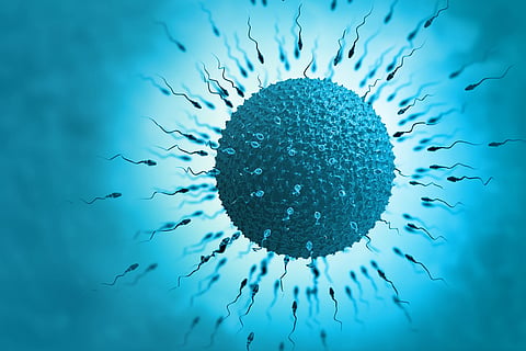 A common parasite can decapitate human sperm — with implications for male fertility