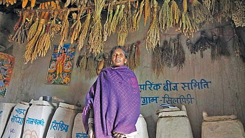 A farmer at a community seed bank in Silpidi village of Dindori district, Madhya Pradesh. Farmers who take seeds from the bank
return double the volume after harvest