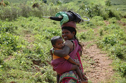 How the Supreme Court order on Forest Rights Act impacts its implementation and forest-dependent communities