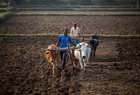 Plant treaty: Global talks trigger sovereignty concerns over weak benefit-sharing proposals
