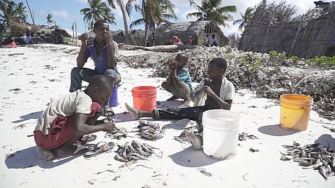 Mozambique LNG projects could use 17% of remaining global carbon budget if fully exploited