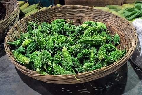 Bitter melon for diabetes? Fenugreek for cholesterol? The research behind ancient remedies