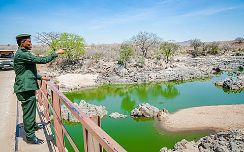 Can Vision 2050 save Tanzania from a climate collapse?