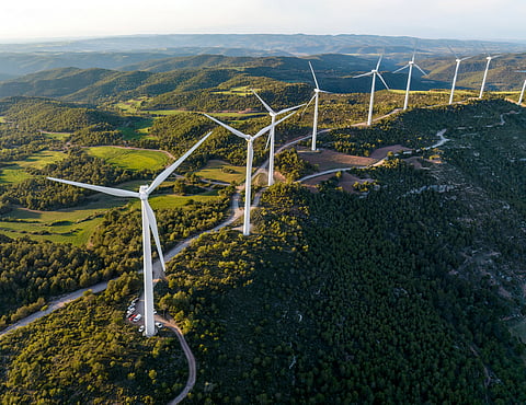 Netherlands slashes offshore wind targets: 2040 goal cut from 50 GW to 40 GW