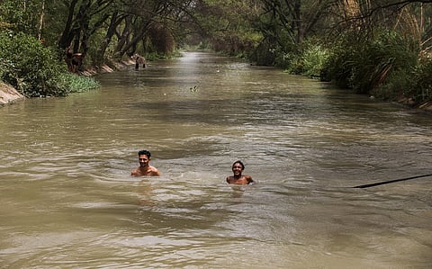 Munak Canal revamp in Delhi could come at a green cost