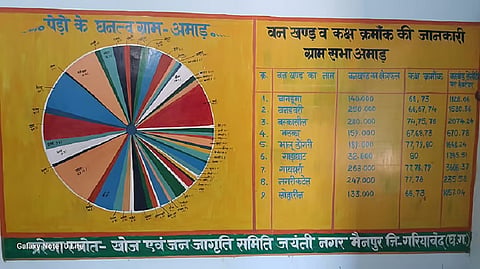 Empowerment through CFRR: In Chhattisgarh’s Amaad, the forest has become more secure and produce collection has increased
