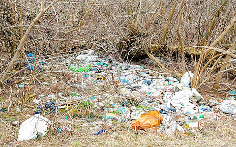 Global Plastic Profiles 2025: Article 9 points to legacy polymer waste, but lacks ambition