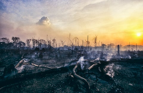 Deforestation fire in the Amazon