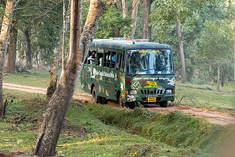 The tourism routes within Nagarahole encroach on Indigenous lands and are part of community forests, alleged Adivasi rights groups.