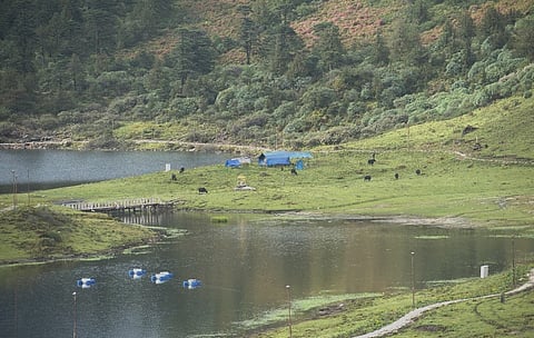 Alarming levels of fluoride contamination found in surface water of Arunachal Pradesh, raising health concerns