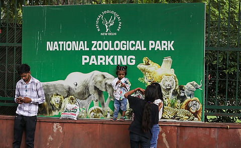 Delhi Zoo shut for visitors due to bird flu outbreak