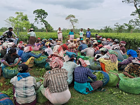 All about nomenclature: Why Assam’s ‘tea tribes’ want to rid themselves of a ‘colonial appellation’