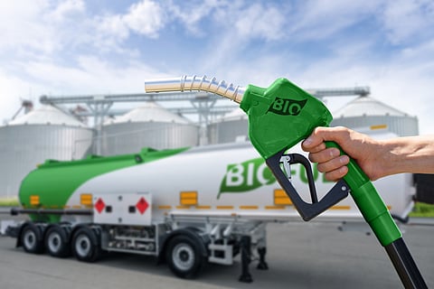 Sustainable fuel use could quadruple by 2035: IEA