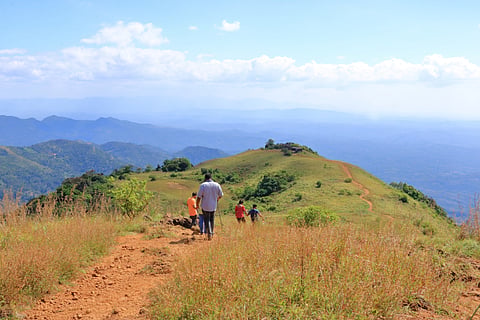 Forests in Western Ghats are also showing clear signs of vegetation stress and browning.