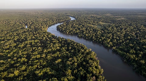 Most countries’ agriculture depends on atmospheric moisture from forests located in other nations: Study