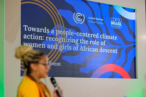 COP30 agrees landmark gender plan as UN Women urges strong implementation