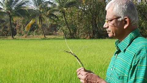 P Narayanan Unny was the keeper of the red grain