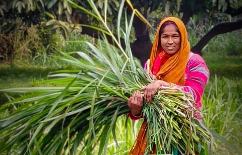 Women in Bihar are transitioning from programme participants to co-creators of rural value chains, study shows