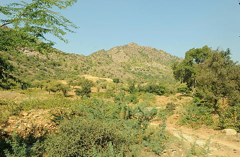 Panel tasked with formulating ‘uniform’ definition of Aravallis knew methodology being used was faulty: Report