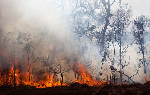 On January 9, 2026, brief but strong winds passing over dry and overheated parts of Victoria created ideal conditions for the rapid ignition and spread of bushfires.