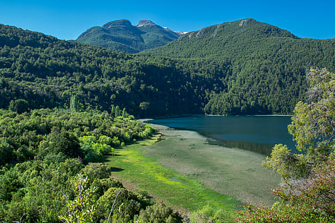 In early January 2026, wildfires swept through Argentina’s Chubut province in Patagonia, engulfing parts of UNESCO-listed Los Alerces National Park, home to ancient Alerce trees that can live for over 3,000 years.