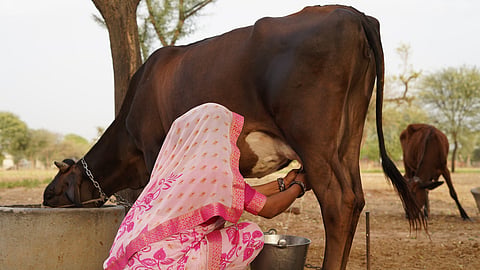 Advantage India