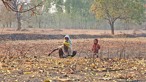 In mahua territory