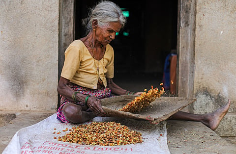 For indigenous peoples, every day is Earth Day