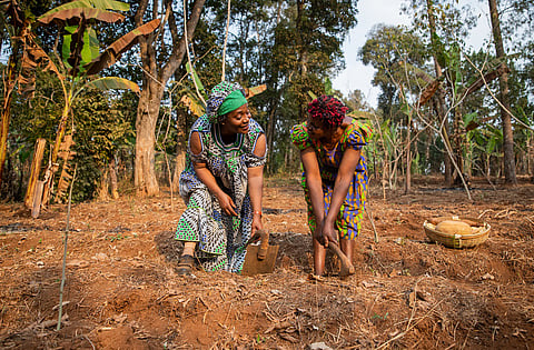 Women’s participation in sub-Saharan Africa’s agrifood systems presents a $53 billion economic opportunity: FAO