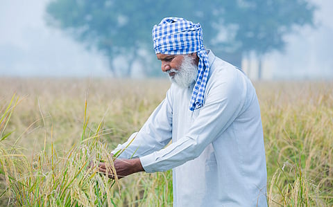 When regional drought becomes a national monetary policy trap