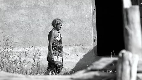 Poverty’s own republic: “Our old world was a free economy of forests”