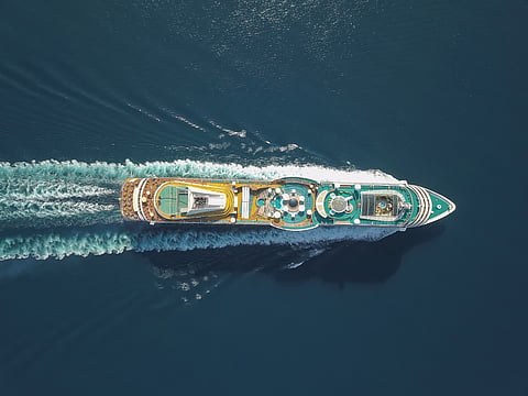 What is hantavirus, the disease that has killed 3 cruise ship passengers?