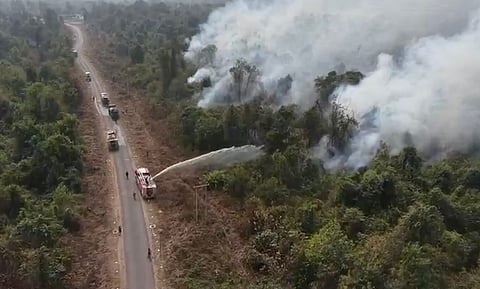 Authorities containing forest fire in Mebo, Arunachal Pradesh in March.