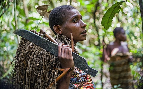 How the world’s poorest remain insulated from their $1.5 trillion annual forest economy