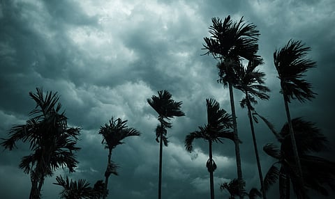 Southwest Monsoon has arrived in Andaman and Nicobar; to hit Kerala on May 26: IMD