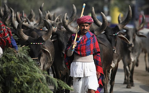 Celebrating one of humanity’s oldest ways of living