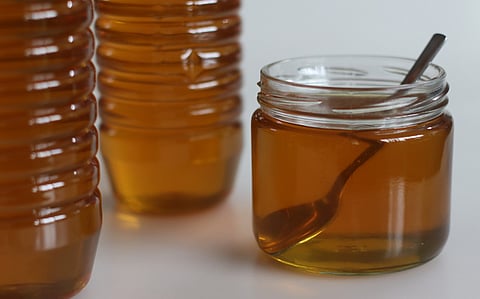 World Bee Day 2026: India’s honey boom has a hidden sting