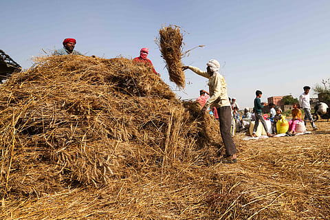 Can technology make India’s crop insurance payouts more accurate?