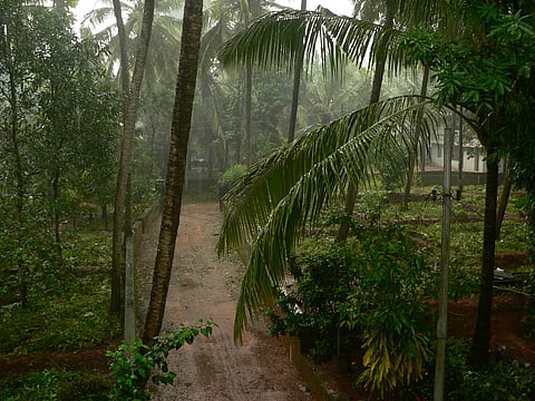 Monsoon 2026 has arrived, but India’s rain season begins under El Niño shadow