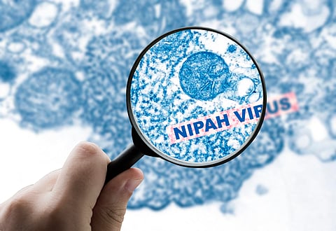 Kerala contains Nipah swiftly, but still lacks answers on how virus spills over