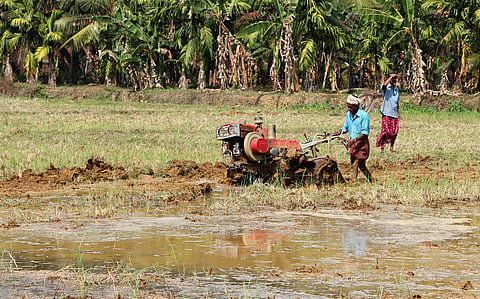 Rainfall deficit is only the symptom; water stress is the real challenge