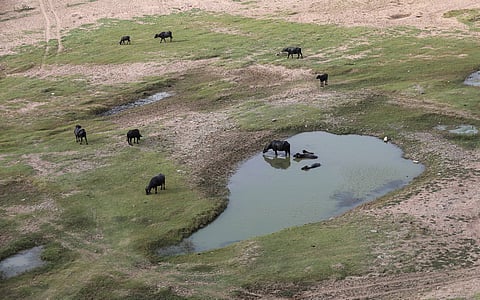 Is Bundelkhand again heading towards drought?